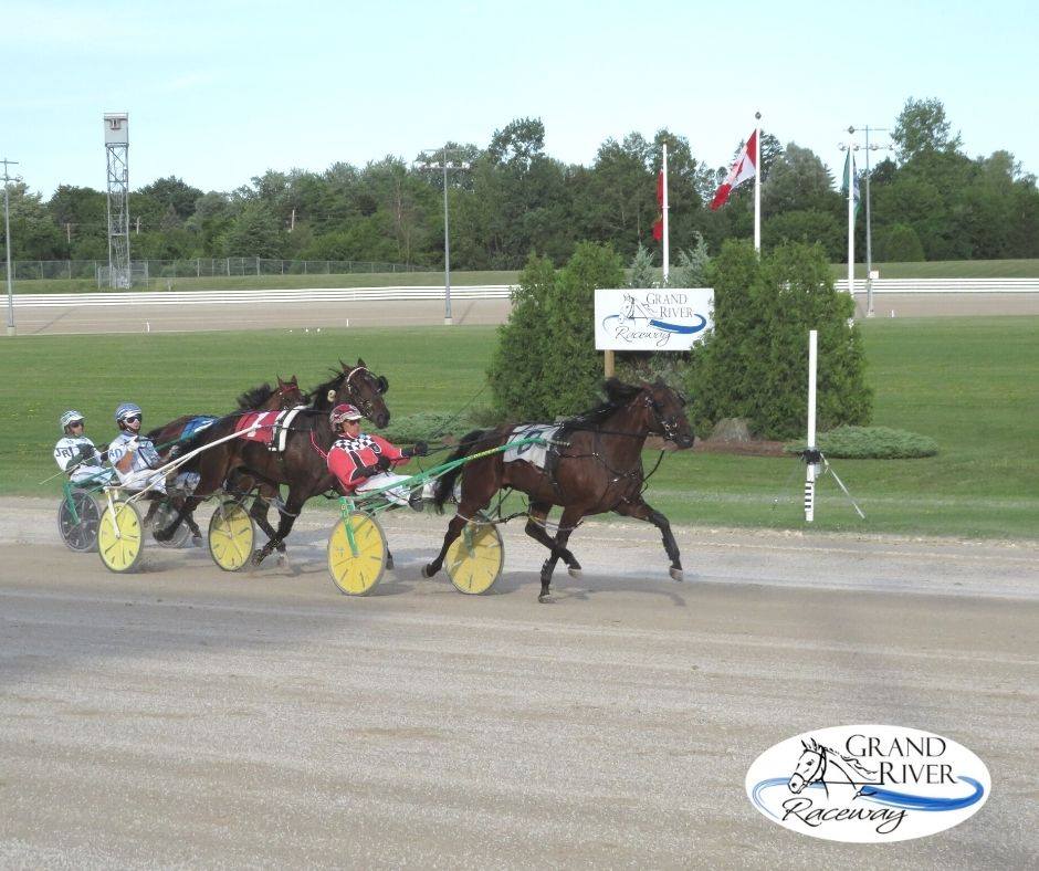 Notice to Industry: Standardbred purse funds for 2021