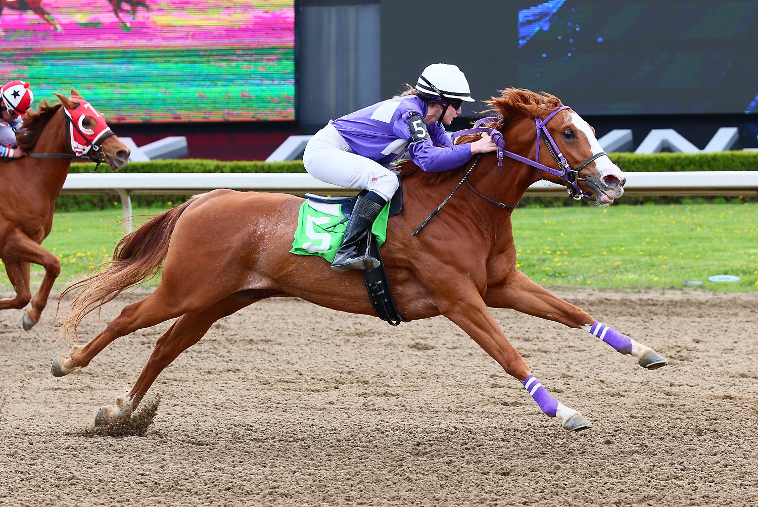A RUSHN LILY speeds to victory in firs race of 2024 Quarter Horse season