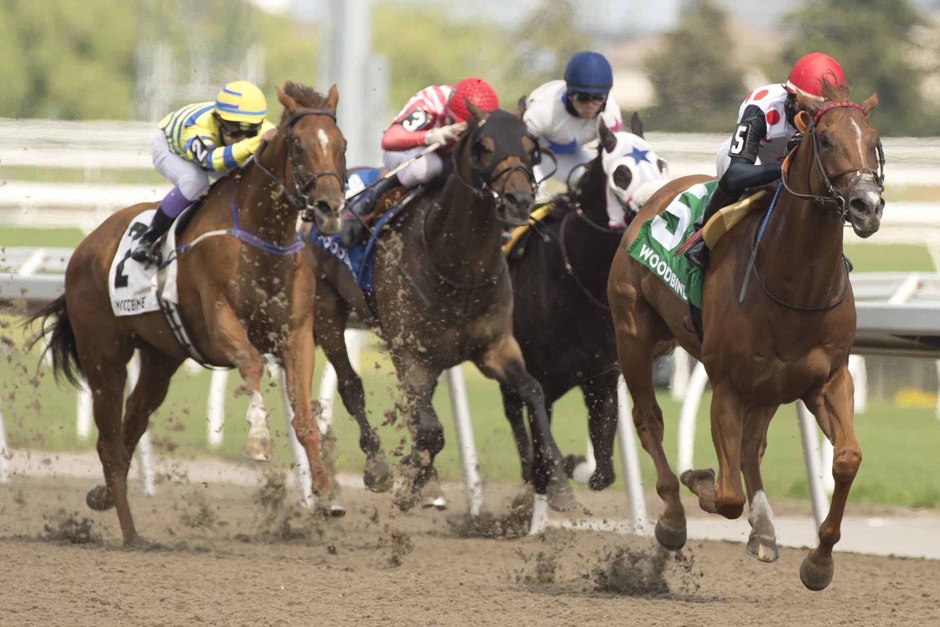 Live Horse Racing is Coming to DAZN Canada