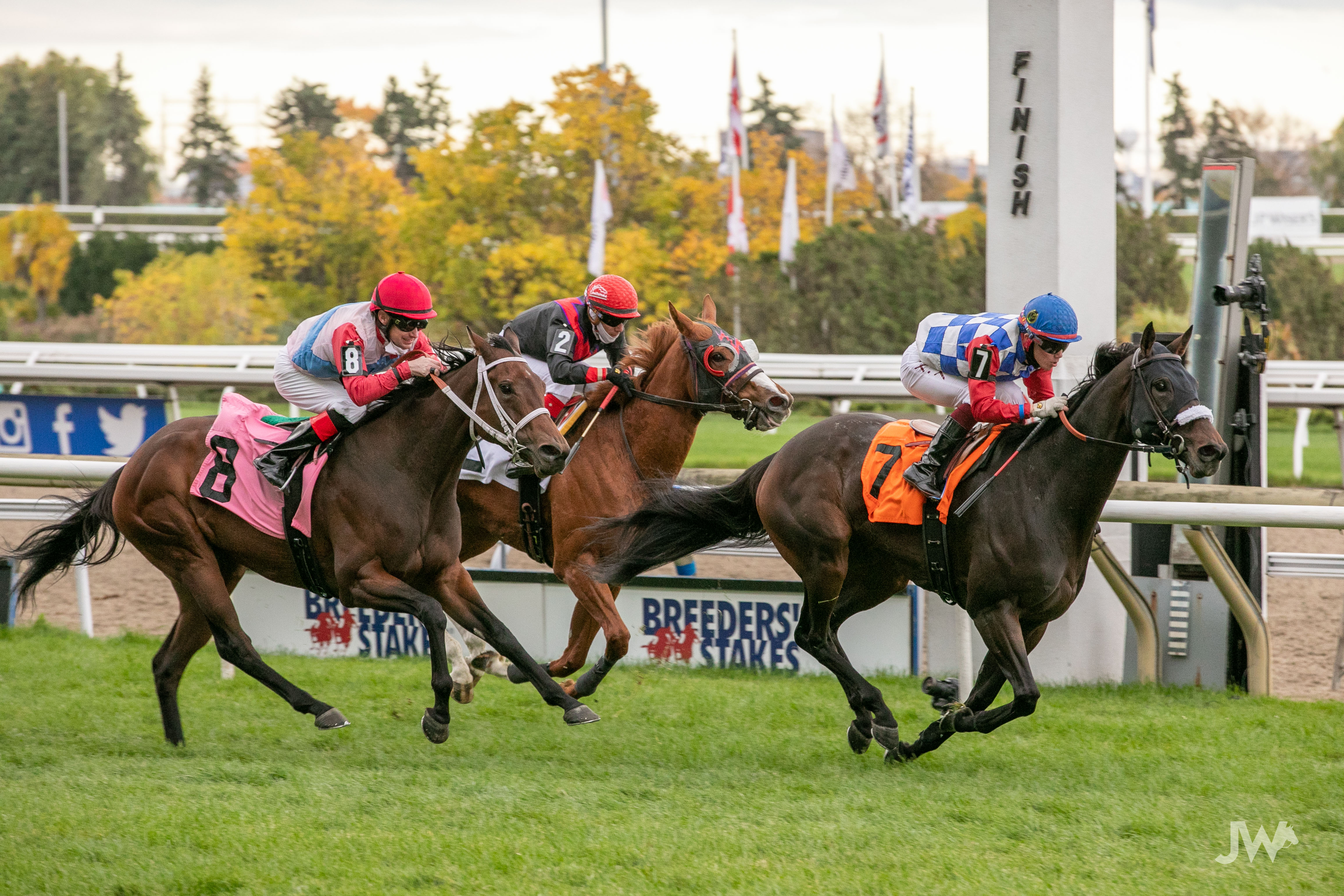 Woodbine Entertainment Announces Thoroughbred Season Is Officially Over