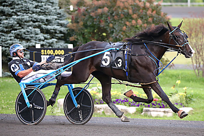 Novice trotting fillies sharp in Grassroots debut