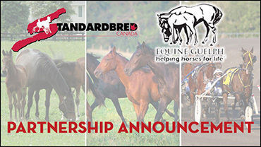 Standardbred Canada and Equine Guelph Partner in Online Training Program & Free Course