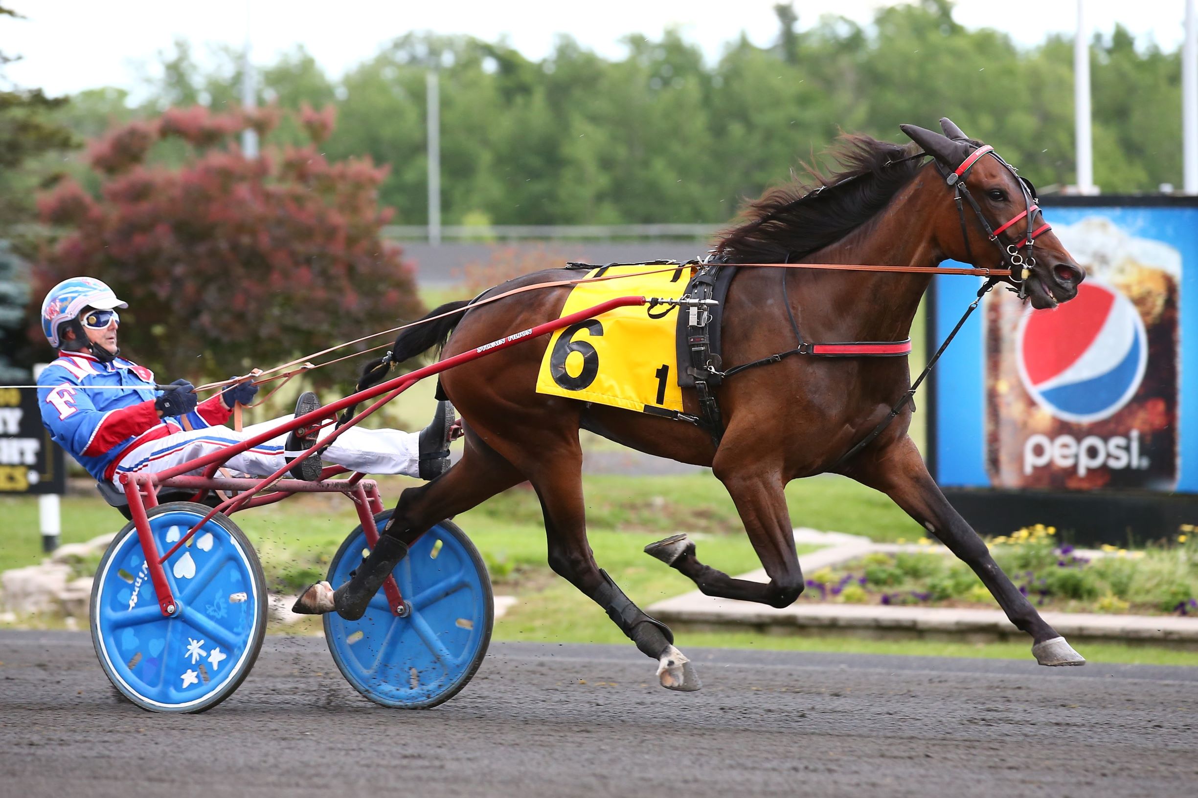 Baillargeons hope to celebrate Canada Day with OSS success