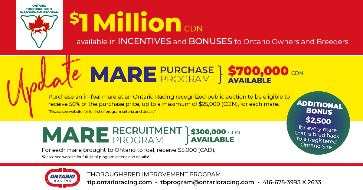 Ontario’s Successful Mare Purchase Program Receives $200,000 Funding Boost