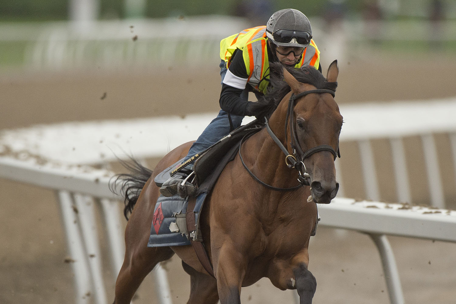 Turf talents look to go the extra mile in Ricoh Woodbine Mile