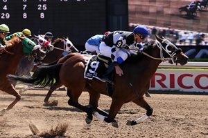 Friday's For the Love Of Racing - Ontario Quarter Horse