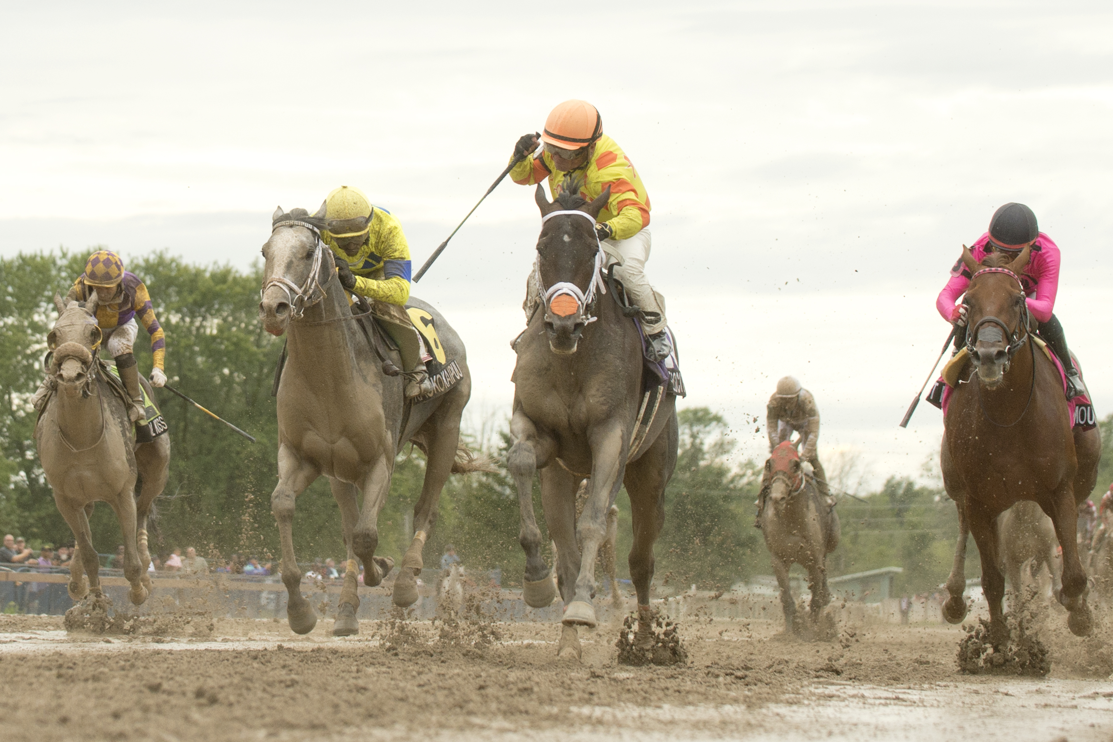 Velocitor and jockey Justin Stein winning the 2023 Prince of Wales Stakes at Fort Erie Race Track (Michael Burns Photo).