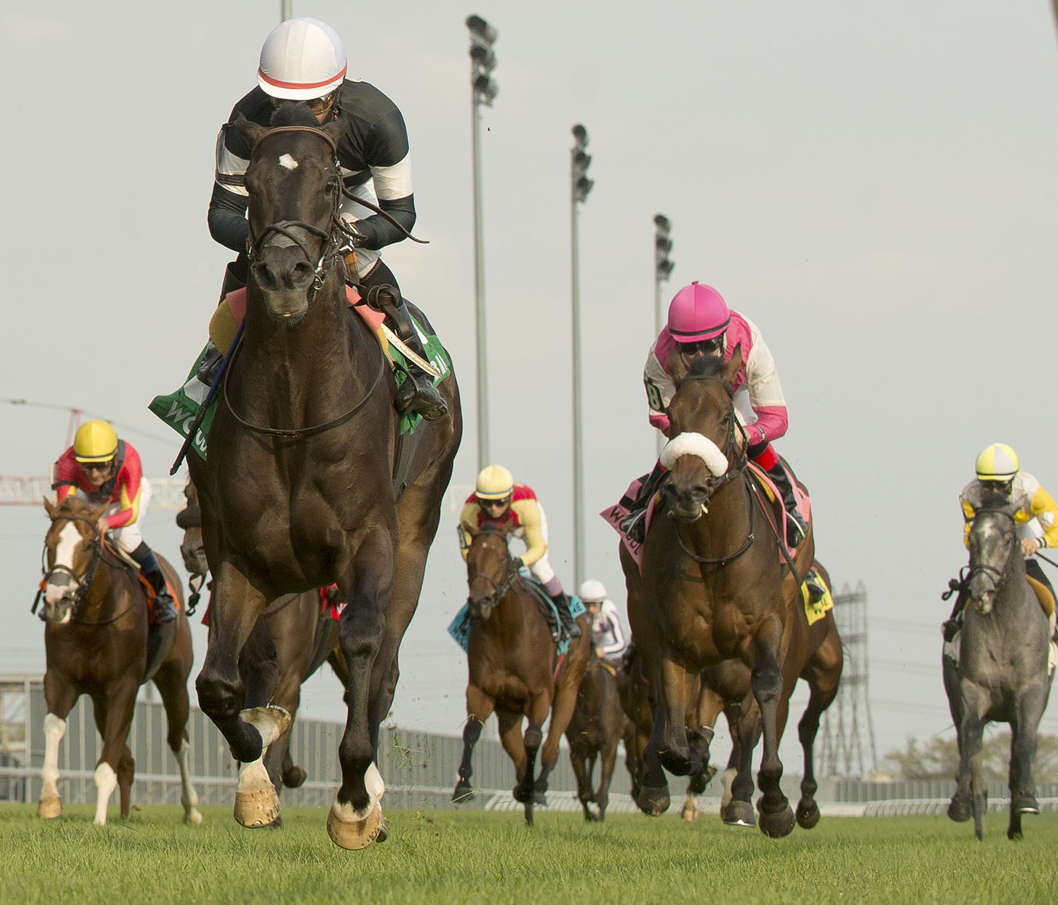 Breeders reaping the rewards of Ontario Sired Reward of Excellence