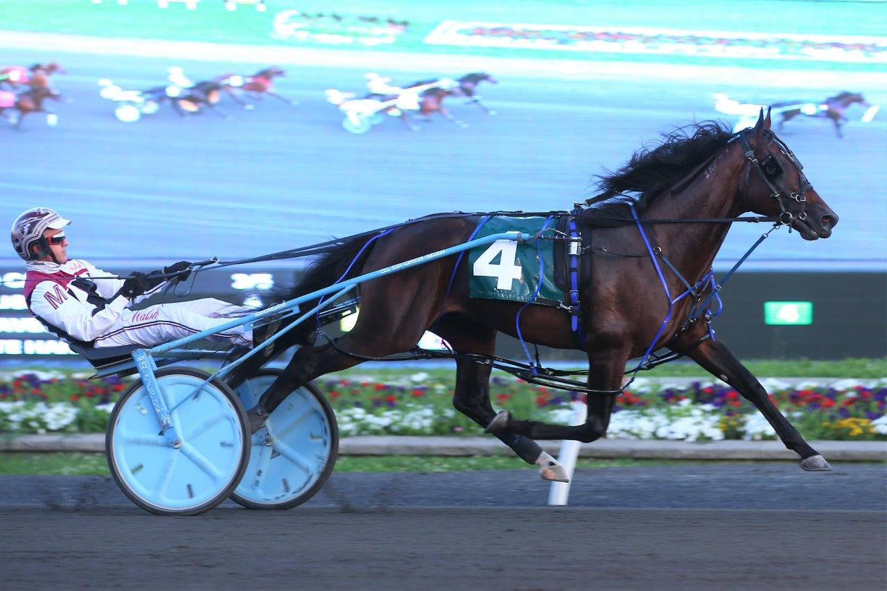 Sophomore pacing colts sharp in fourth Grassroots leg